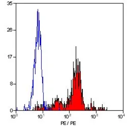 Anti-CD38 antibody [AT13/5] (PE) used in Flow cytometry (FCM). GTX74581