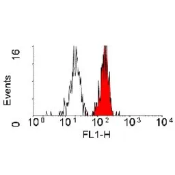 Anti-CD98 antibody [44D7] used in Flow cytometry (FCM). GTX74637