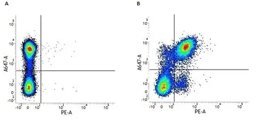 Anti-CD40 antibody [3/23] (PE) used in Flow cytometry (FCM). GTX74690
