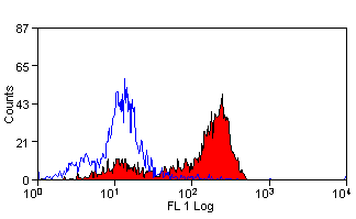 Anti-CD2 antibody [LT2] (FITC) used in Flow cytometry (FCM). GTX74724