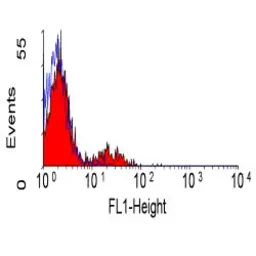 Anti-CD39 antibody [A1] (FITC) used in Flow cytometry (FCM). GTX74822