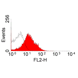 Anti-CD28 antibody [JJ319] used in Flow cytometry (FCM). GTX74891