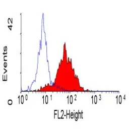 Anti-Integrin alpha 6 antibody [450-30A] (PE) used in Flow cytometry (FCM). GTX75047