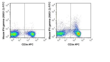 Anti-Interferon gamma antibody [XMG1.2] (FITC) used in Flow cytometry (FCM). GTX75119