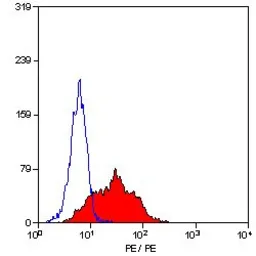 Anti-CD105 antibody [SN6] (PE) used in Flow cytometry (FCM). GTX75142