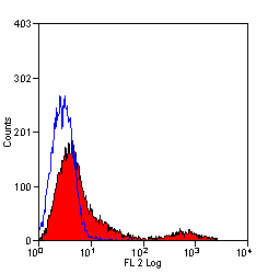 Anti-CD71 antibody [OX-26] (FITC) used in Flow cytometry (FCM). GTX75148