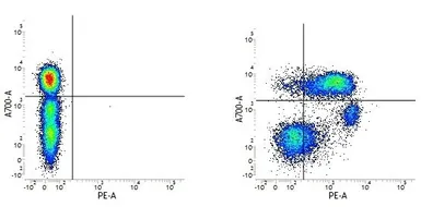 Anti-CD55 antibody [67] (PE) used in Flow cytometry (FCM). GTX75214