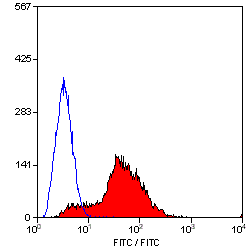 Anti-CD81 antibody [Eat 2] (PE) used in Flow cytometry (FCM). GTX75433