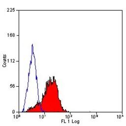 Anti-CD81 antibody [1D6] (FITC) used in Flow cytometry (FCM). GTX75435