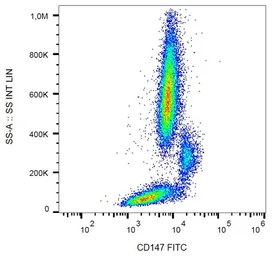 Anti-CD147 antibody [MEM-M6/1] (FITC) used in Flow cytometry (FCM). GTX75483