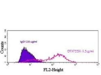 Anti-Nectin 2 antibody [R2.525] used in Flow cytometry (FCM). GTX75591