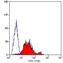 Anti-Integrin beta 1 / CD29 antibody [4B7R] (FITC) used in Flow cytometry (FCM). GTX75616