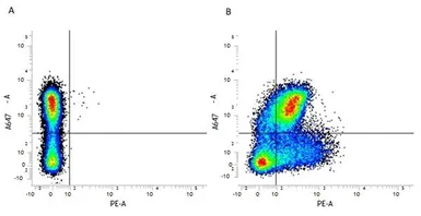 Anti-CD200 antibody [OX-90] (PE) used in Flow cytometry (FCM). GTX75638