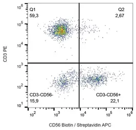 Anti-NCAM antibody [MEM-188] (Biotin) used in Flow cytometry (FCM). GTX75714