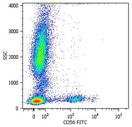 Anti-NCAM antibody [MEM-188] (FITC) used in Flow cytometry (FCM). GTX75715