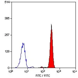 Anti-C5a R1 antibody [P12/1] (FITC) used in Flow cytometry (FCM). GTX75734