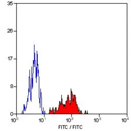 Anti-HLA-A2 antibody [BB7.2] (FITC) used in Flow cytometry (FCM). GTX75804