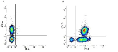 Anti-CD46 antibody [MEM-258] (PE) used in Flow cytometry (FCM). GTX75835