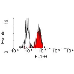 Anti-CD84 antibody [CD84.1.21] used in Flow cytometry (FCM). GTX75849