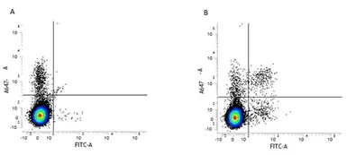 Anti-Integrin alpha 2 antibody [DX5] (FITC) used in Flow cytometry (FCM). GTX75859