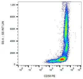 Anti-CD58 antibody [MEM-63] (PE) used in Flow cytometry (FCM). GTX75864