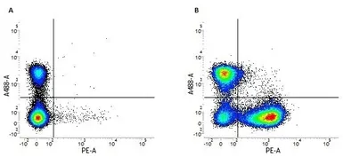 Anti-CD22 antibody [OX-97] (PE) used in Flow cytometry (FCM). GTX75939
