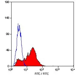 Anti-LAIR1 antibody [NKTA255] (FITC) used in Flow cytometry (FCM). GTX75996