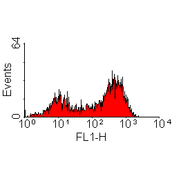 Anti-Endothelium antibody [MRC OX43] (FITC) used in Flow cytometry (FCM). GTX76064