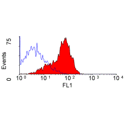 Anti-CD200 antibody [MRC OX-2] (PE) used in Flow cytometry (FCM). GTX76141