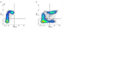 Anti-HLA-DR + DP + DQ antibody [WR18] (FITC) used in Flow cytometry (FCM). GTX76199