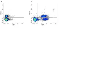 Anti-HLA-DR + DP + DQ antibody [WR18] (PE) used in Flow cytometry (FCM). GTX76200
