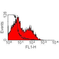 Mouse Anti-Rat kappa Light chain antibody [MRC OX-12]. GTX76234