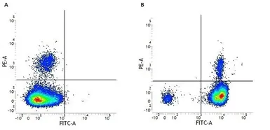 Anti-CD18 antibody [YFC118.3] (FITC) used in Flow cytometry (FCM). GTX76237