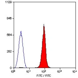 Anti-Glycophorin A antibody [YTH89.1] (FITC) used in Flow cytometry (FCM). GTX76243