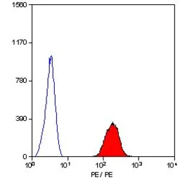 Anti-Glycophorin A antibody [YTH89.1] (PE) used in Flow cytometry (FCM). GTX76245