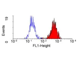 Anti-CD35 antibody [E11] used in Flow cytometry (FCM). GTX76302