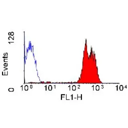 Anti-CD43 antibody [DFT-1] (FITC) used in Flow cytometry (FCM). GTX76309