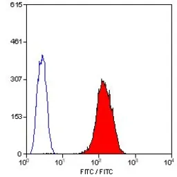 Anti-CD42b antibody [AK2] (FITC) used in Flow cytometry (FCM). GTX76457