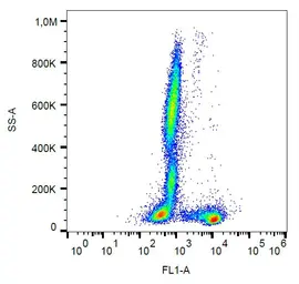 Anti-CD27 antibody [LT27] (FITC) used in Flow cytometry (FCM). GTX76478