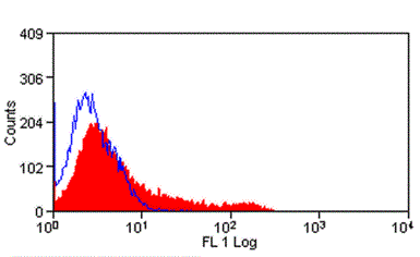 Anti-CD8 beta antibody [341] used in Flow cytometry (FCM). GTX76644