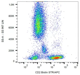 Anti-CD2 antibody [MEM-65] (Biotin) used in Flow cytometry (FCM). GTX78242