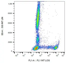 Anti-CD8 antibody [MEM-31] (FITC) used in Flow cytometry (FCM). GTX78258