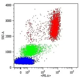 Anti-CD16 antibody [MEM-154] (Biotin) used in Flow cytometry (FCM). GTX78279