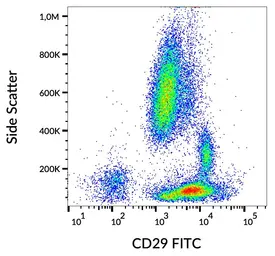 Anti-Integrin beta 1 / CD29 antibody [MEM-101A] (FITC) used in Flow cytometry (FCM). GTX78286