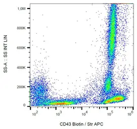 Anti-CD43 antibody [MEM-59] (Biotin) used in Flow cytometry (FCM). GTX78288