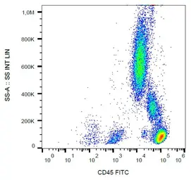 Anti-CD45 antibody [MEM-28] (FITC) used in Flow cytometry (FCM). GTX78294