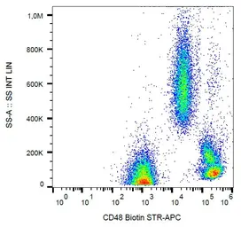 Anti-CD48 antibody [MEM-102] (Biotin) used in Flow cytometry (FCM). GTX78301
