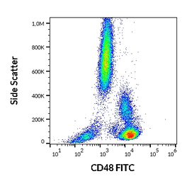 Anti-CD48 antibody [MEM-102] (FITC) used in Flow cytometry (FCM). GTX78302