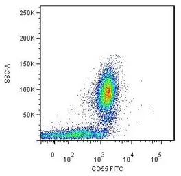 Anti-CD55 antibody [MEM-118] (FITC) used in Flow cytometry (FCM). GTX78307