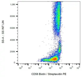 Anti-CD58 antibody [MEM-63] (Biotin) used in Flow cytometry (FCM). GTX78310
